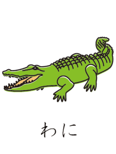 日语常用简单词汇鳄鱼用日语怎么说