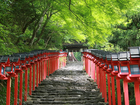 教你日语说通话中,请稍后再拨 _新沪江日语网