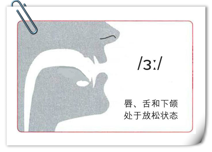 英语音标别混淆 girl 还是 gull_沪江英语学习网