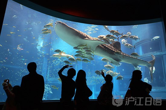 谁说不好玩?在大阪不得不做的10件事_新沪江