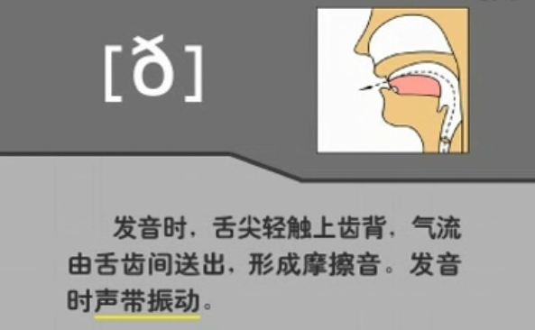 辅音的发音图解和方法:v,z