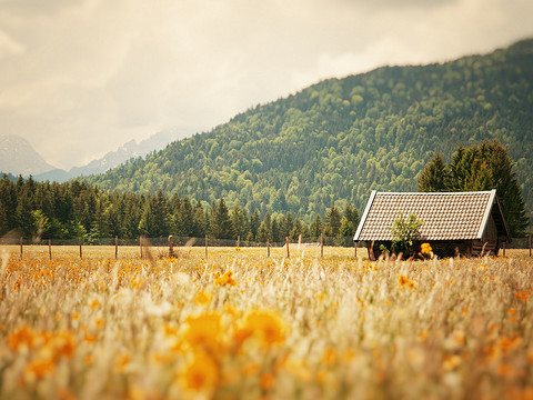 CATTI翻译考试_2017考研:历年英语翻译真题(