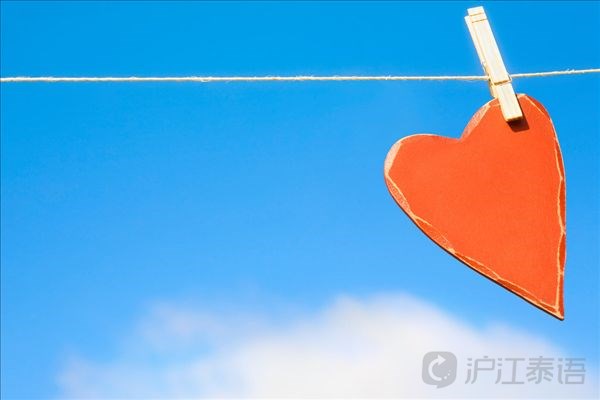 每日一句泰语:努力并不见得总会收获成功_新沪