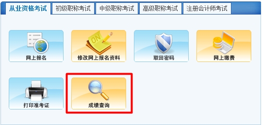 2015年西藏会计从业资格考试成绩查询入口