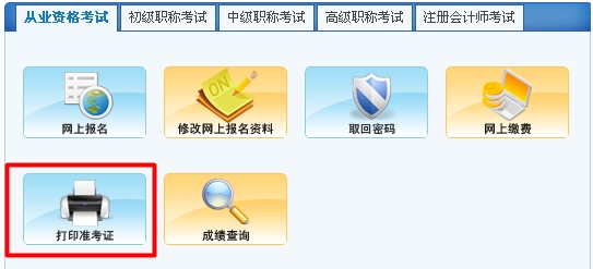 2015年西藏会计从业资格考试准考证打印入口