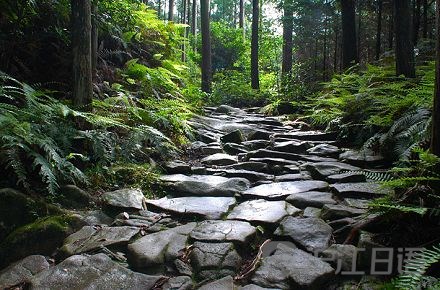 日语一级答案_签证细节(二):留学调查表 如何