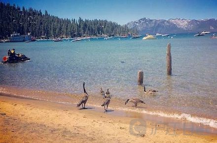 日本留学_签证细节(二):留学调查表 如何填?_