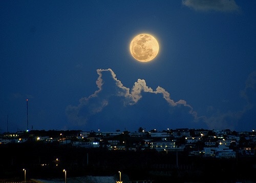 enjoy the full moon watching  - 赏月正当时