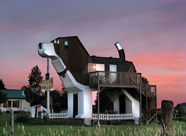 德国卡尔斯鲁厄的这座猫咪形状的房子是专门让人们寄养他们家喵