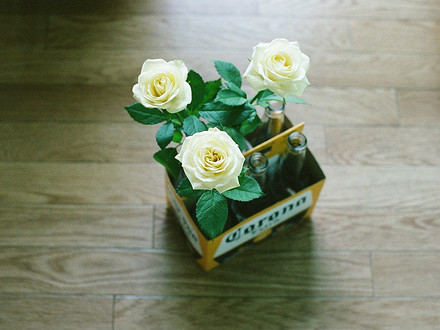 2017考研:新闻与传播硕士名词解释复习(8)