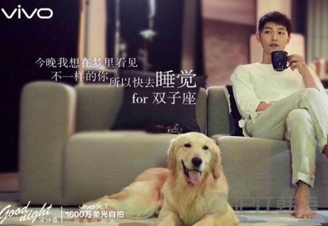 韩流明星_韩流明星收入排行榜