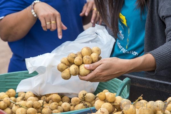 龙宫果的5大好处及挑选方法_新沪江泰语网_泰