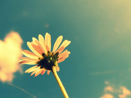 四六级口语突击--互动讨论模版(二)_沪江英语学