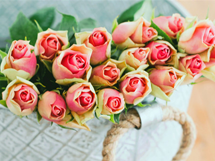 英语句型_定语从句的注意事项之关系代词_沪