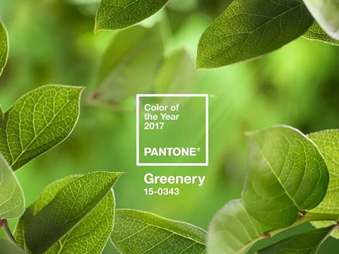 pantone评2017十大年度流行色:草木绿夺冠!