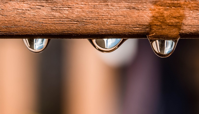 现在分词和动名词的用法区别_沪江英语学习网