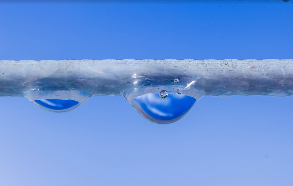 关系代词的英语用法总结 _沪江英语学习网