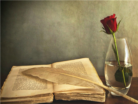 英语专业四级考试_华东理工大学2017考研成绩