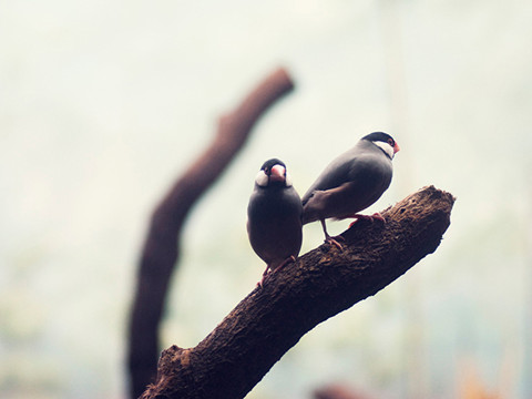 四级答案_2018考研:教育学院校排名_沪江英语