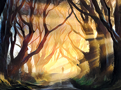 活大爆炸_一词日历:诗歌品读 -《未选择的路》