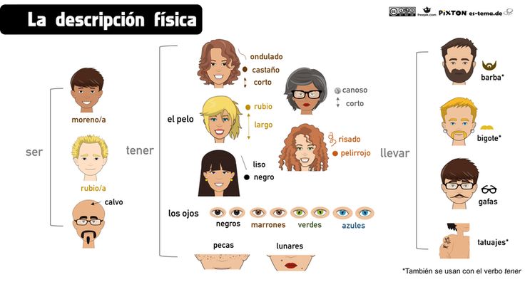 西班牙语分类词汇:外貌描写
