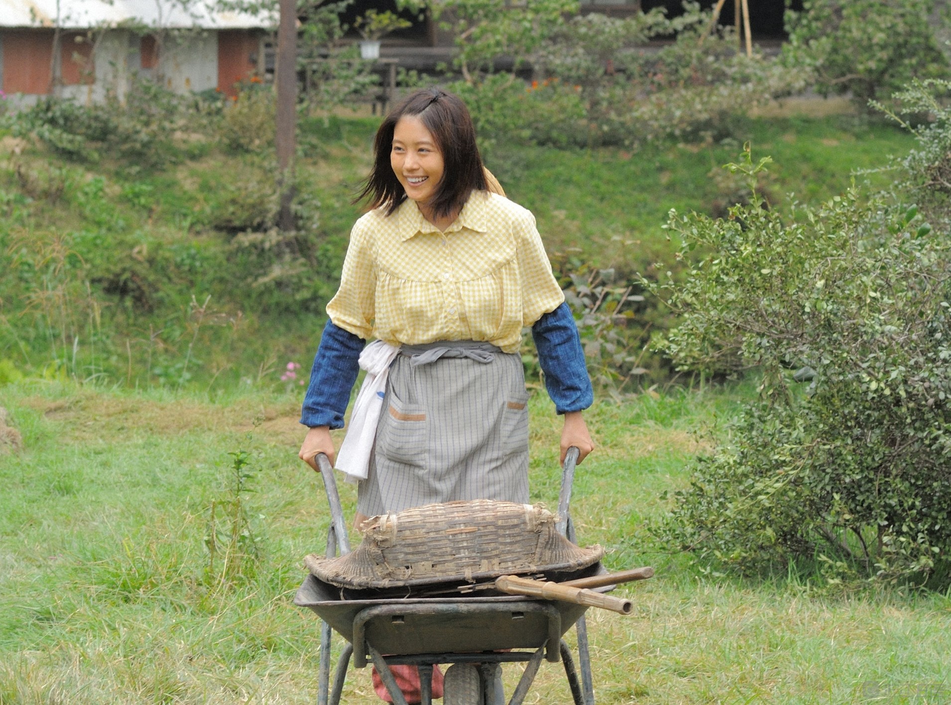 有村架纯晨间剧《雏鸟》首播收视率19.5%