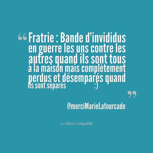 法语入门_只有当妈了才懂的15句经典语录句_