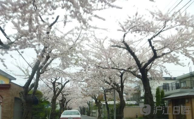 BJT商务日语考试_2017BJT商务日语能力考试