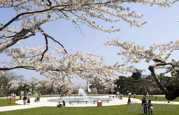 BJT商务日语考试_2017BJT商务日语能力考试