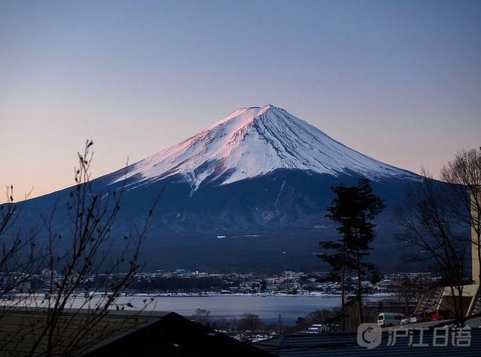 ⑥山中湖的白鸟湖 山梨县南都留郡