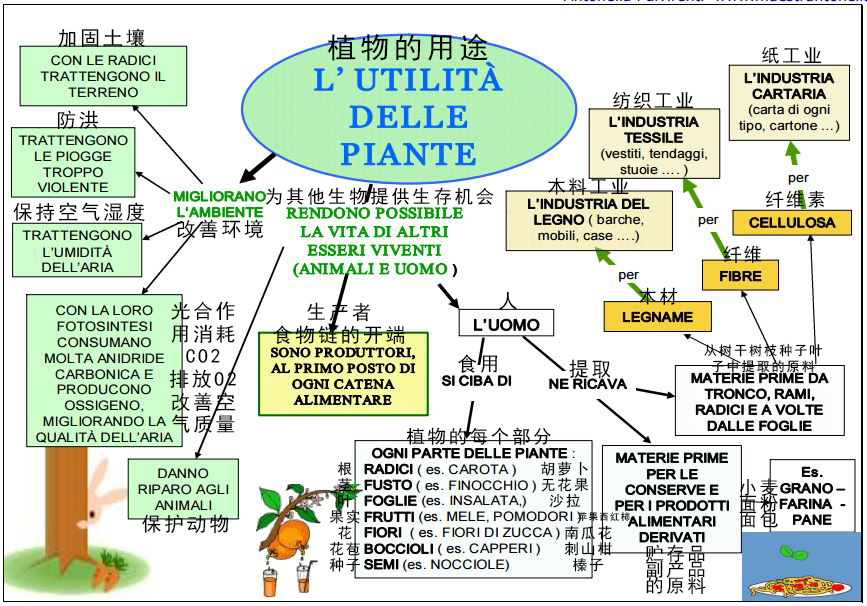 人口组成英文_欧洲煤钢共同体(3)