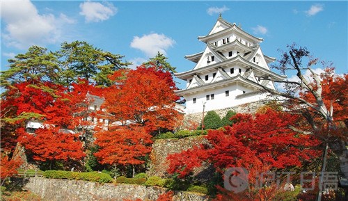 13位 郡上八幡城(岐阜県郡山市)|郡上八幡城(岐阜县郡山市)