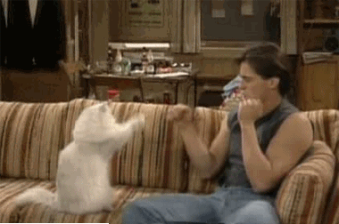 380_252gif 动态图 动图