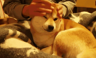 德语鲜词: