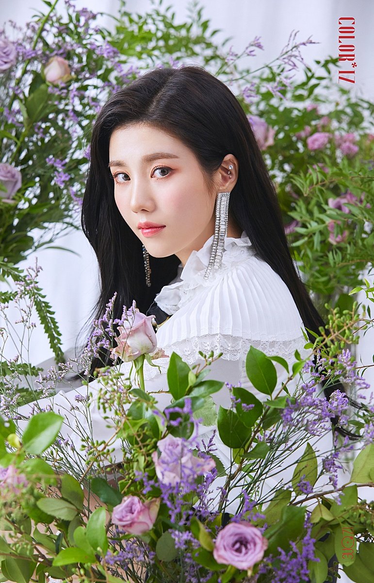 权恩妃(ye-a iz*one)