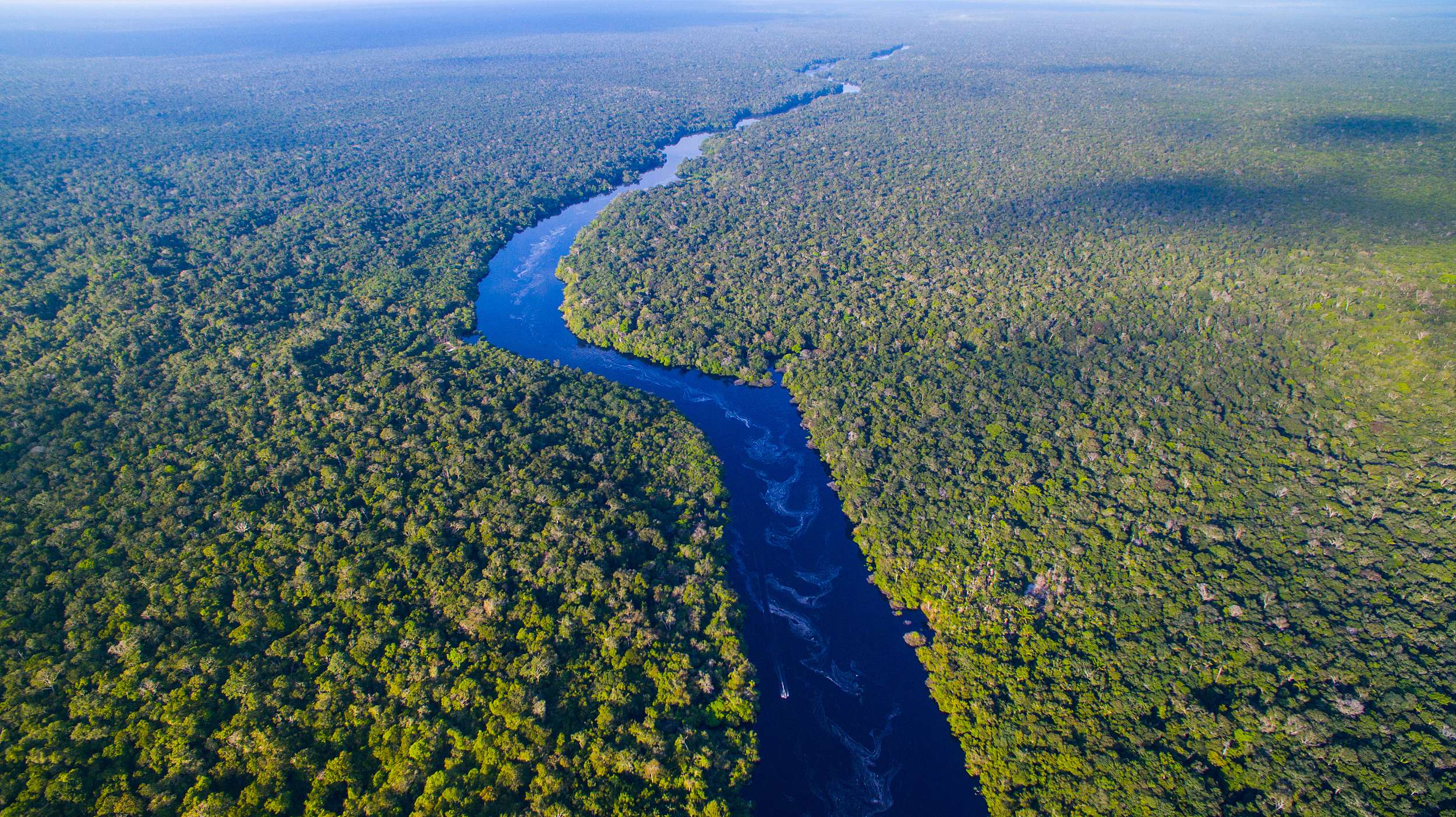 图片来源:视觉中国 the amazon river, over half of which lies