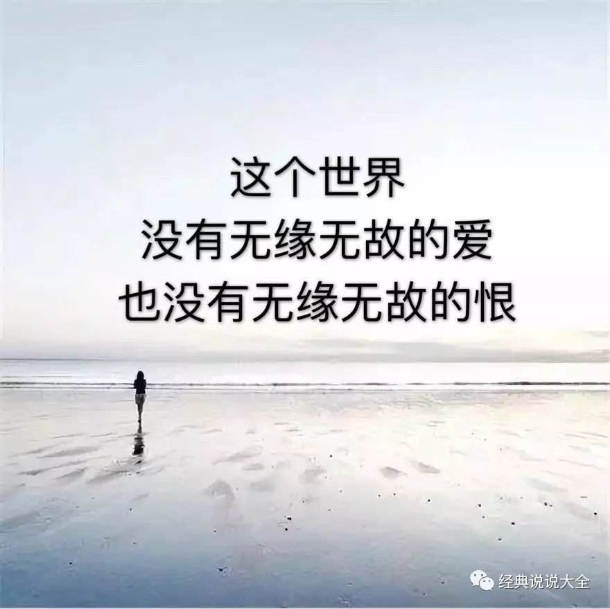 孤独的我,心已冷.