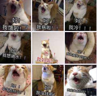 （奖励已发放）【词场每周一话】妈你不要嫌弃我了，下个假期我要出去飞