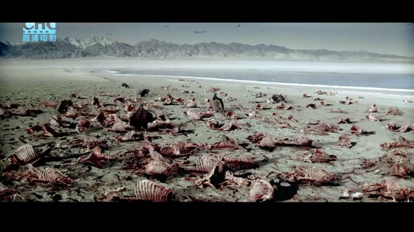 《可可西里》--观后感_中原电商学院_学习-沪