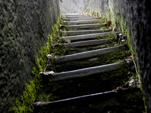 英文天天写:Stairway