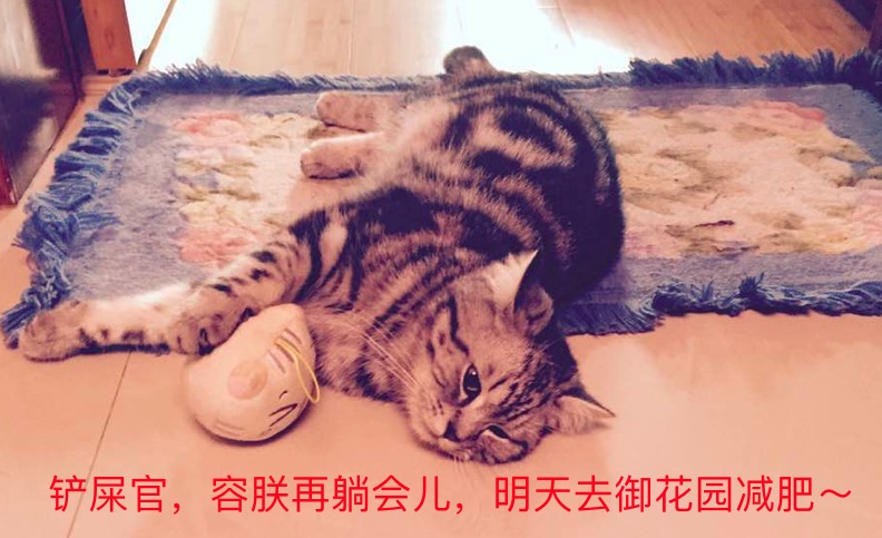 【Fit健身潮词】新词书即将来袭～敬请期待！