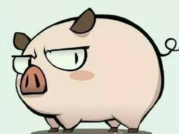 一分钟开口说法语(1.笨猪傻驴,你傻哇?)