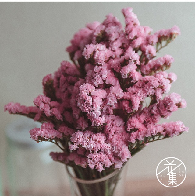 【元宵节Plus情人节】跟着词场君来一场指尖上的浪漫之旅