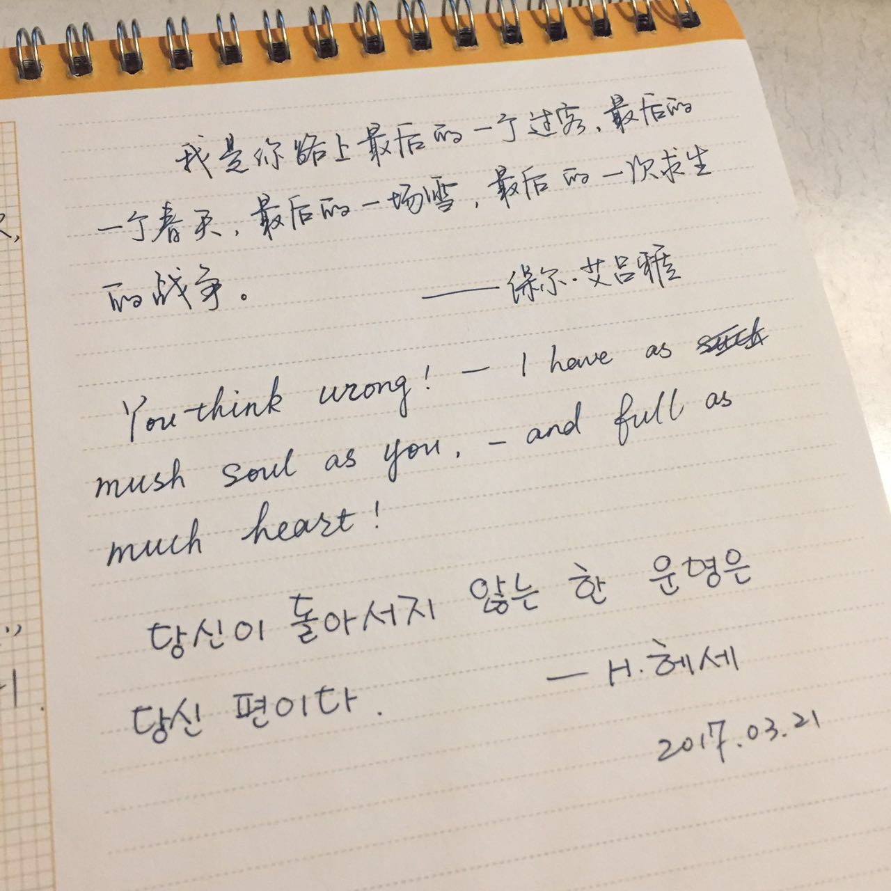 作业图片