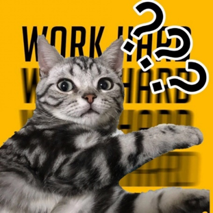 （奖励已发放）【愚人节】今天你被整了吗？说出你的故事！