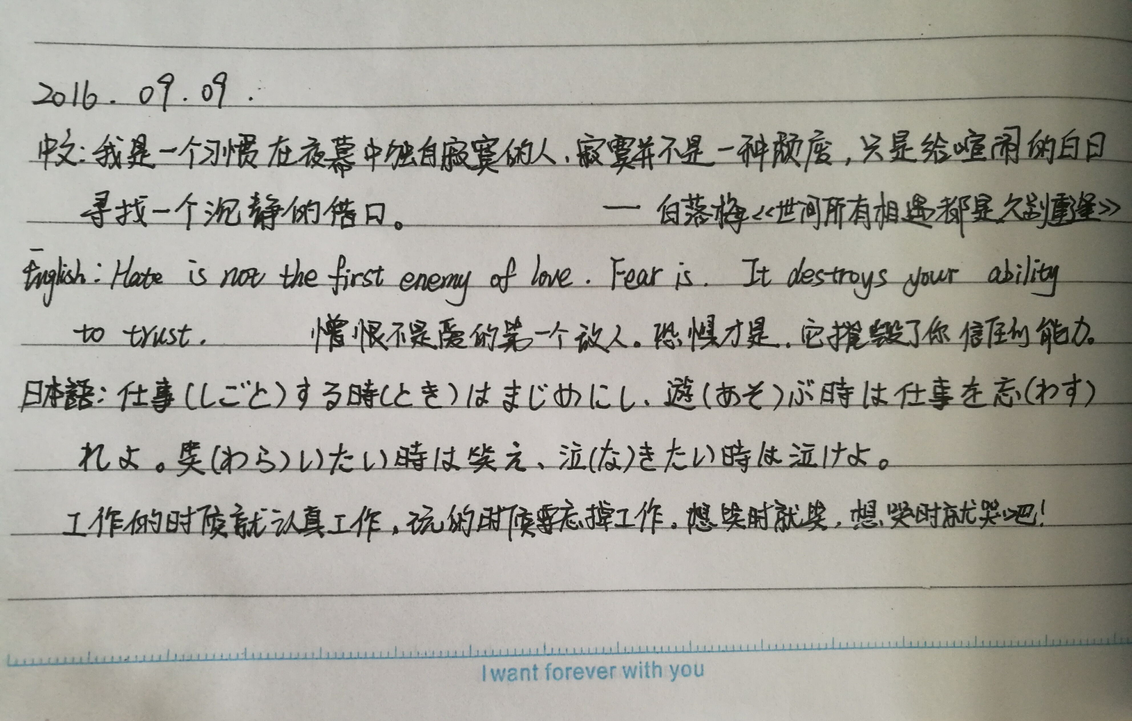 作业图片