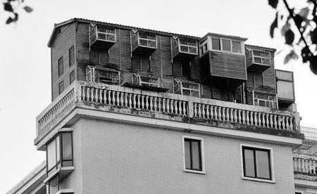 【新词速递】在外漂泊只能住鸽子房？心疼奋斗在北上广的宝宝一秒钟