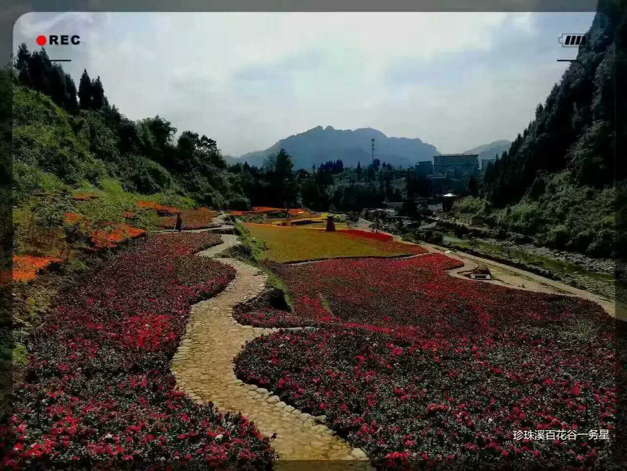 务川珍珠溪百花谷景区_圆梦思源平台_学习-沪江社团