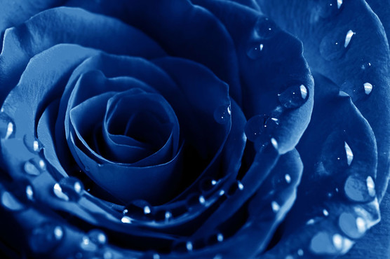 8d5ab74d-964e-4512-a6a3-e1d2b619dedd.jpg