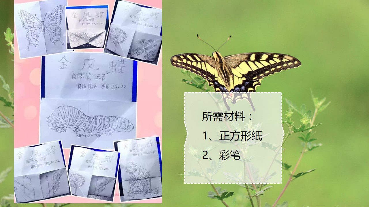 a9de1054-6b37-4d74-9ef1-f2f9c41e5287.jpg